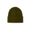 Arctic Fox & Co. Women's The Reykjavik Beanie - Sea Kelp Green In Green