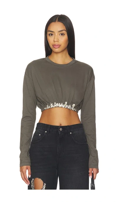 Area Crystal Cluster Long Sleeve Cropped T-shirt In Gray