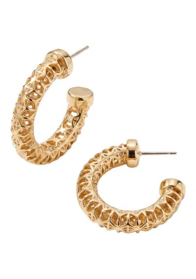 Area Stars Hema Textured Hoops In Gold