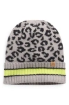 Area Stars Leopard Knit Beanie In Gray