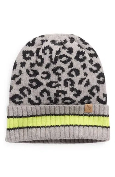 Area Stars Leopard Knit Beanie In Gray