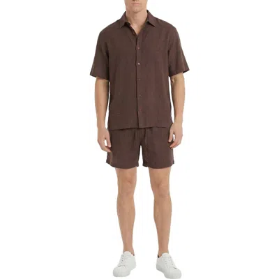 Area Stars Sunburst Top In Brown