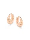 Area Stars Women's 24k Rose Goldplated Shrimp Hoop Earrings In Yellow Goldtone
