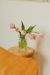 Areaware Glass Hex Vase In Clear At Urban Outfitters