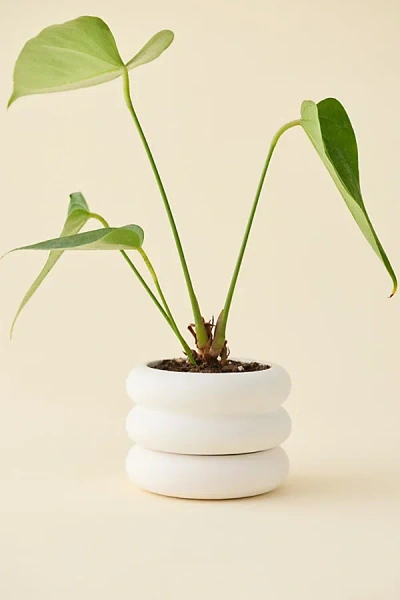 Areaware Mini Stacking Planter In White At Urban Outfitters