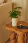 Areaware Strata Ceramic Plant Vessel In Cream At Urban Outfitters