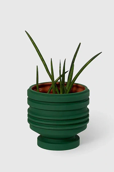 Areaware Strata Ceramic Plant Vessel In Green At Urban Outfitters