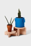 Areaware Wooden Plant Pedestal Set In Neutral At Urban Outfitters