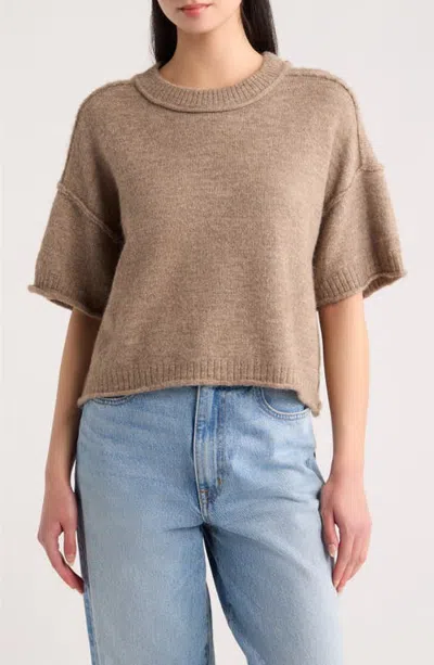 A.ren Lynne Crewneck Sweater In Brown