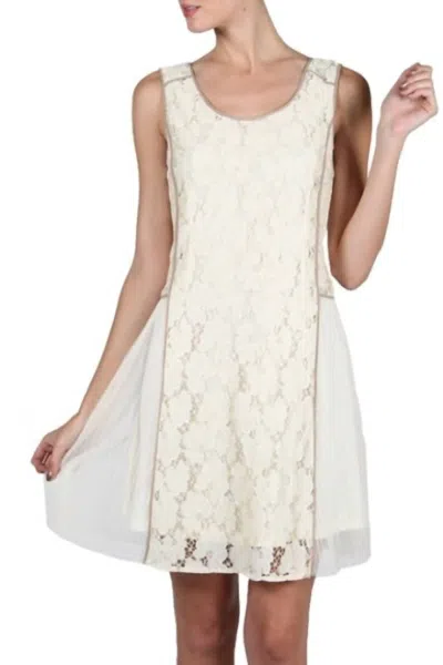 A'reve Romantic Lace Mesh Mini Dress In Cream In White