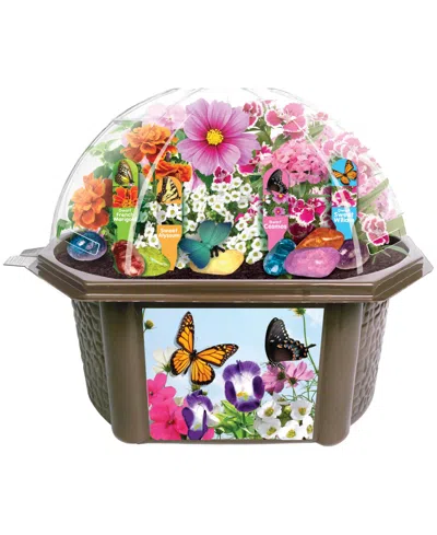 Areyougame Toys By Nature Biosphere Terrarium Bountiful Butterfly Garden Plant Kit In No Color