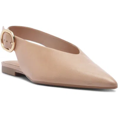 Arezzo Atlas Pointed Toe Slingback Flat In Neutral