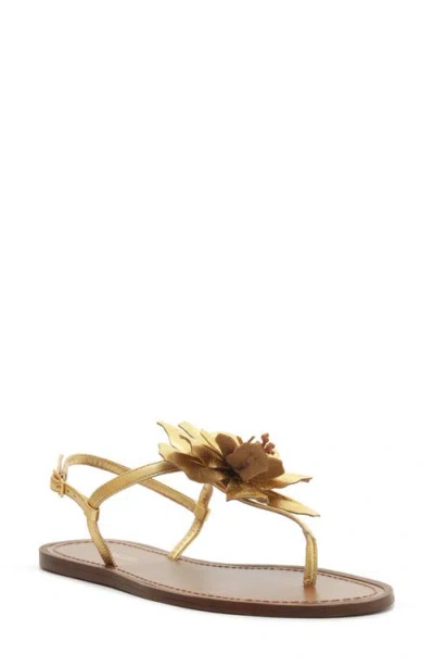 Arezzo Daisy Slingback Sandal