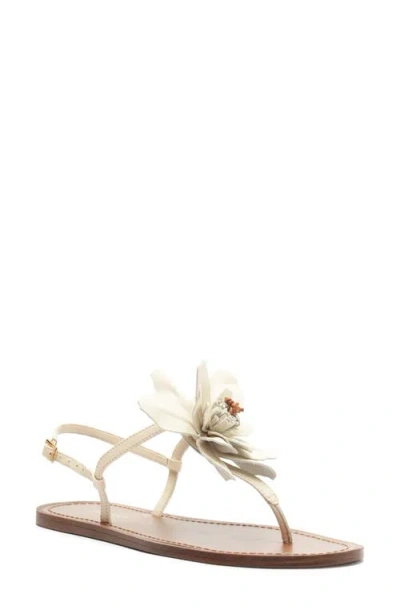 Arezzo Daisy Slingback Sandal