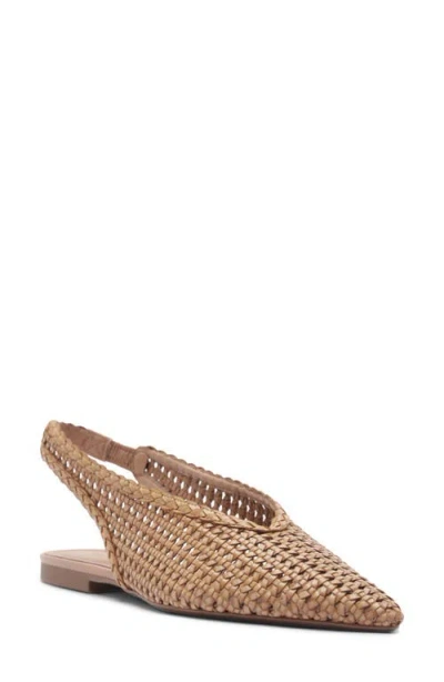 Arezzo Eva Pointed Toe Slingback Flat In Brown