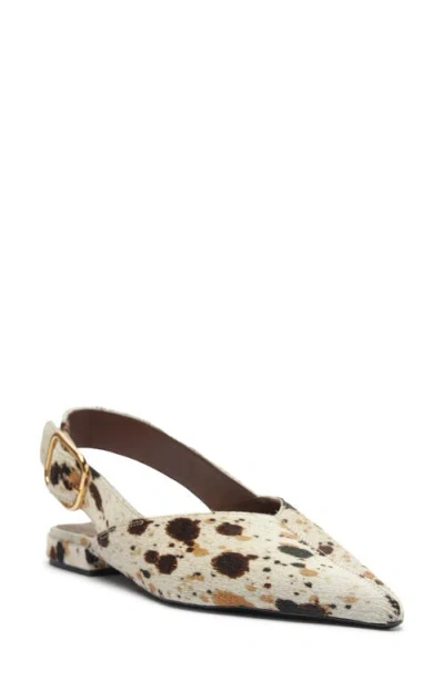 Arezzo Fallon Pointed Toe Slingback Flat In Multi