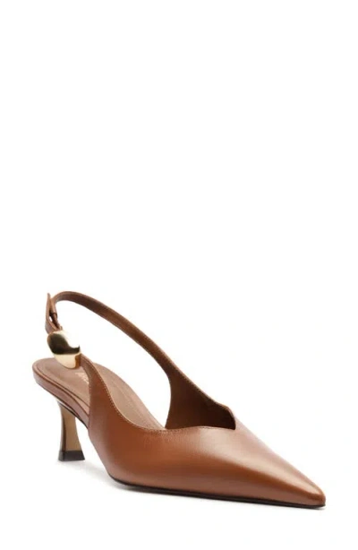 Arezzo Farrah Slingback Pointed Toe Pump In Brown