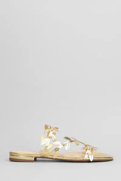Arezzo Flats