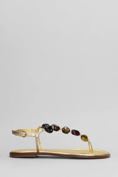 Arezzo Flats