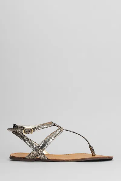 Arezzo Flats