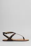 Arezzo Flats