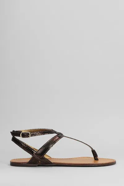 Arezzo Flats