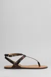 Arezzo Flats