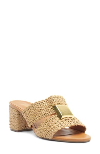 Arezzo Jackie Slide Sandal In Brown