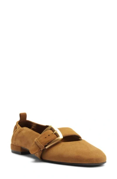 Arezzo Kenny Ballet Flat In Stracci