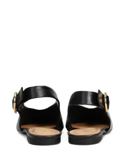 Arezzo Pointed-toe Pumps In Black