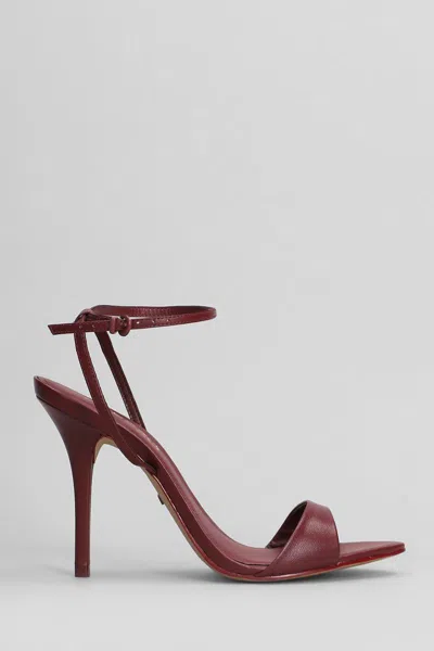 Arezzo Sandals