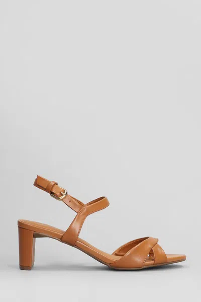 Arezzo Sandals