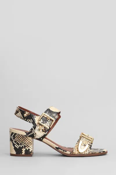 Arezzo Sandals