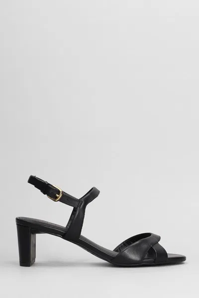 Arezzo Sandals