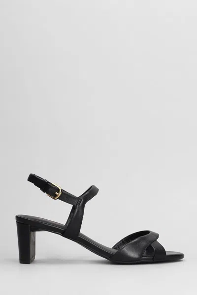 Arezzo Sandals In Black