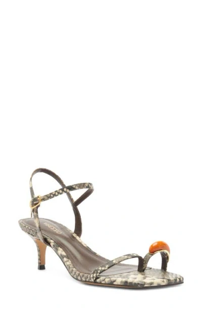 Arezzo Sofia Ankle Strap Sandal In Brown