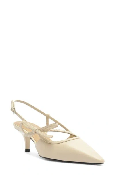 Arezzo Tessa Pointed Toe Slingback Pump In Neutral