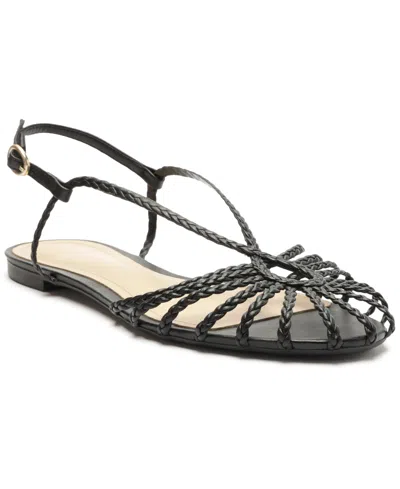 Arezzo Women's Paola Flat Sandals In Black