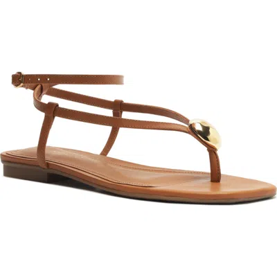 Arezzo Zuri Ankle Strap Sandal In Jungle Nut
