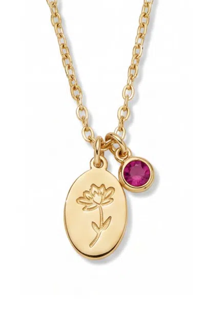 Argento Vivo Birthstone Charm Necklace In Gold