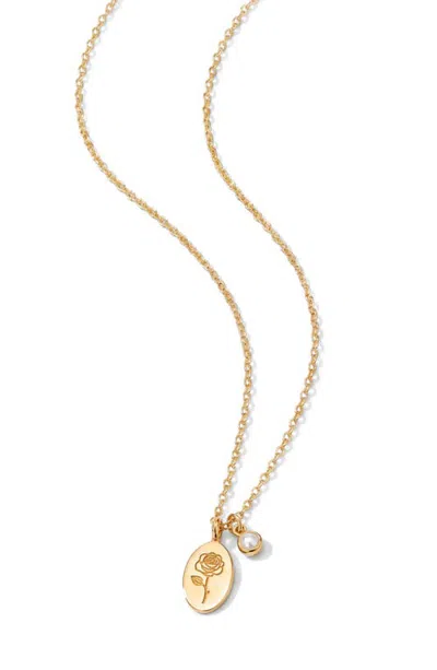 Argento Vivo Birthstone Charm Necklace In Gold