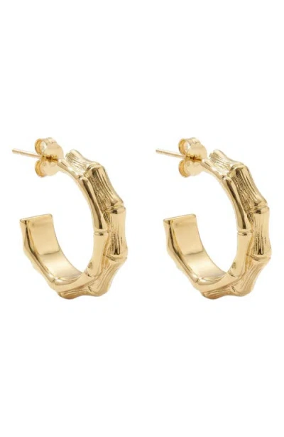 Argento Vivo Chunky Bamboo Hoop Earrings In Gold