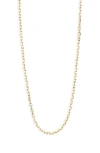 Argento Vivo 18k Gold Plated Sterling Silver Chain Necklace In Gold