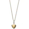 Argento Vivo Sterling Silver Heart Locket Pendant Necklace In Gold