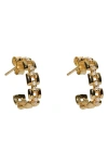 Argento Vivo Sterling Silver Panthera Open Hoop Earrings In Gold