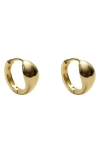 Argento Vivo Sterling Silver Solid Signet Hoop Earrings In Gold