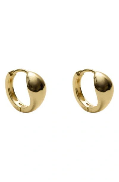 Argento Vivo Sterling Silver Solid Signet Hoop Earrings In Gold