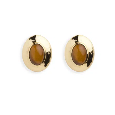 Argento Vivo Women's Gold Terra Studs — Tiger's Eye