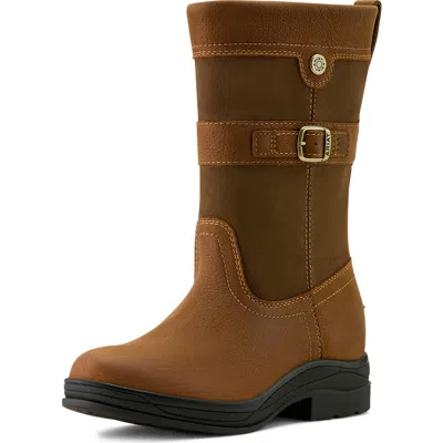 Ariat Bampton Waterproof Boot In Multi