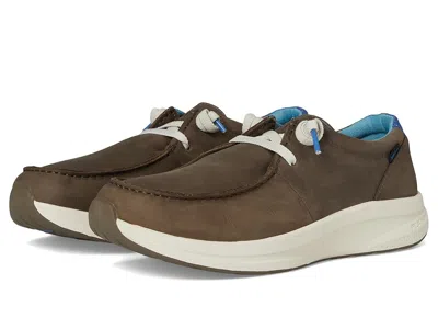 Ariat Buckeye Waterproof Shoes In Gray